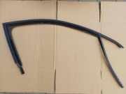 Türgummi rechts vorne VW Jetta IV (162, 163, AV3, AV2) 5C6837432