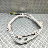 Airbag Dach rechts VW Touareg II (7P) 7P6880742C