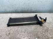 Elektrischer Schulterschulterkühler AUDI A4 (8EC, B7) 2.0 TDI 2004202