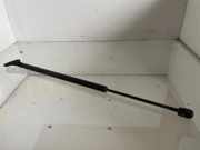 Heckklappendämpfer links Toyota Corolla Verso (E12J1) 689600F011