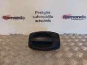 Türgriff links Fiat Ducato Kasten (244)