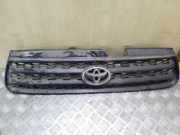 Kühlergrill komplett Toyota RAV 4 II (A2)