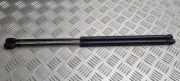 Heckklappe Gasdruckfeder rechts PEUGEOT 406 Break (8E/F) 2.0 HDI 110 2N11N406A10AD