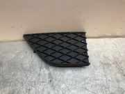 Gitter vorne unten BMW 6 (E63) 650 i 11460915