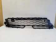 Gitter vorne unten SKODA KAMIQ 1.5 TSI 658853677