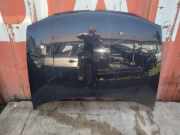 Motorhaube VW GOLF IV (1J1) 1.9 SDI