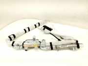 Dach SRS rechts NISSAN JUKE (F15) 1.5 dCi 0589-P1-0036 DM-HAB-1002