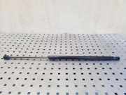 Heckklappe Gasdruckfeder rechts VW PASSAT Variant B8 (3G5) 2.0 TDI 3G9827550B