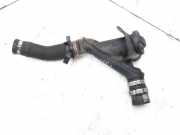 Oil Filler Pipe PEUGEOT 307 SW (3H) 2.0 HDI 90 9638323780