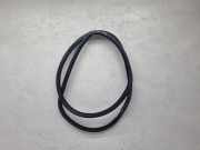 Türdichtung Seat Exeo (3R) 8E9833721G