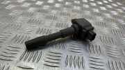 Zündspule DACIA SANDERO 1.5 dCi 224332428R