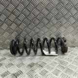 Schraubenfeder hinten links