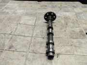 Auspuffkrümmer Subaru Forester (SH) H626