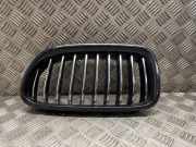 Vorderer oberer Gitter BMW 5 Touring (F11) 520 d 7336477