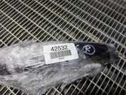 Türaußengriff links LAND ROVER RANGE ROVER SPORT (L320) 3.0 D 4x4 AH22203A28DB