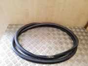 Dichtungsgummi der hinteren Tür (an der Karosserie) VW PHAETON (3D_) 3.0 V6 TDI 4motion 3D4867367J