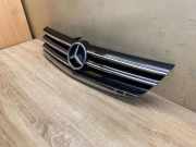 Vorderer oberer Gitter MERCEDES-BENZ A (W169) A 200 (169.033, 169.333) 1698800983