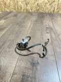Xenon-Lampe MERCEDES-BENZ C (W204) C 350 CDI (204.023)