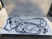 Kabelbaum VW AMAROK (2H_, S1B) 2.0 BiTDI 4motion 2H0927904G 2H0927904F