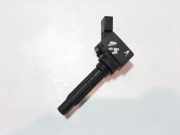 Zündspule VW GOLF VII (5G1, BQ1, BE1, BE2) 1.4 GTE Hybrid 04C905110J