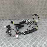 Kabel Tür Toyota Prius (W5) 8215147571