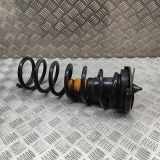 Feder links hinten Volvo V70 III (135) 31202534