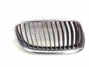 Kühlergrill oben BMW 5er (F10) 7254972