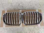 Kühlergrill oben BMW X5 (G05, F95) 51137454887