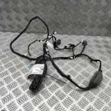 Türverkabelung hinten rechts BMW X6(G06) xDrive 30 d 9184376