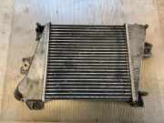Ladeluftkühler NISSAN X-TRAIL (T30) 2.2 Di 4x4 D2055B17