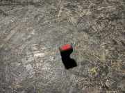 Schalter für Warnblinker Subaru Forester (SF)