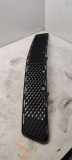 Gitter vorne unten MERCEDES-BENZ C (W204) C 220 CDI (204.002) A2048852123