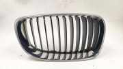 Vorderer oberer Gitter BMW 1 Coupe (E82) 118 d 7179656A