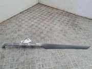 Armaturenbrett Verkleidung