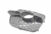 Gitter Grill vorne links BMW X6 (E71, E72) xDrive 30 d