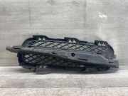 Gitter vorne unten JAGUAR XF (X250) 2.2 D 8X2315K233BC