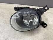 Blinker vorne rechts AUDI A4 Avant (8ED, B7) 2.0 89203961