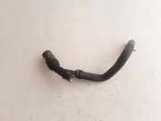 Wasserkühlerschlauch rechts RENAULT SCÉNIC II (JM0/1_) 1.9 dCi (JM15) 800333615