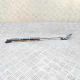 Heckklappe Gasdruckfeder links TOYOTA YARIS (_P13_) 1.5 Hybrid (NHP130_) 68960-0W640