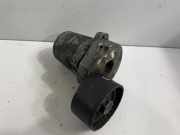 Riemenspanner BMW X5 (E70) xDrive 30 d 1234567