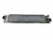 Ladeluftkühler CITROËN JUMPER Furgon (244) 2.2 HDi