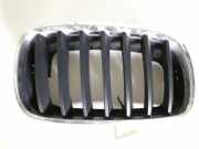Gitter BMW X5 (E70) M 7171396