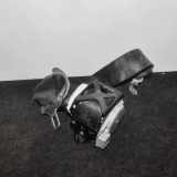 Sicherheitsgurt vorne links