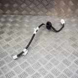 Kabelbaum TOYOTA C-HR (_X1_) 1.8 Hybrid (ZYX10_) 8216B-F4010