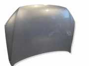 Motorhaube VW PASSAT B7 (362) 1.6 TDI