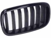 Gitter Grill vorne links BMW X6 (F16, F86) M 50 d 7316053