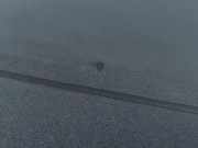 Verkleidung Hutablage Toyota Prius (W5)