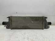 Ladeluftkühler FIAT SEDICI (FY_) 2.0 D Multijet 4x4 1362079J80