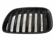 Gitter Grill vorne links BMW X5 (E53) 4.6 is