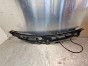 Abdeckkappe Scheinwerferwaschanlage links MERCEDES-BENZ C (W204) C 200 CDI (204.007, 204.006) A2048300013